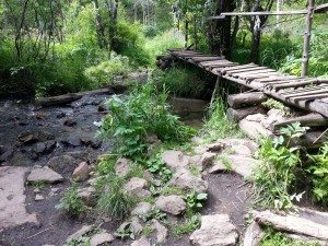Some pictures of the trail