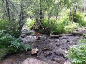 Some pictures of the trail