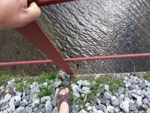 Some pictures of the trail