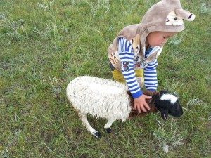 the 2nd youngest clapping a wounded sheep (broken leg)