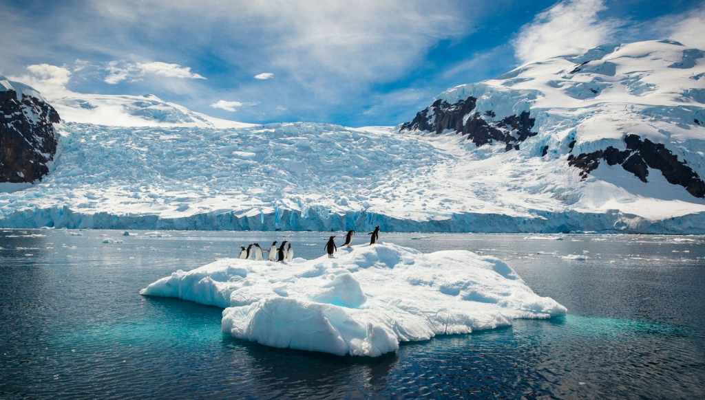 Antarctica and penguins