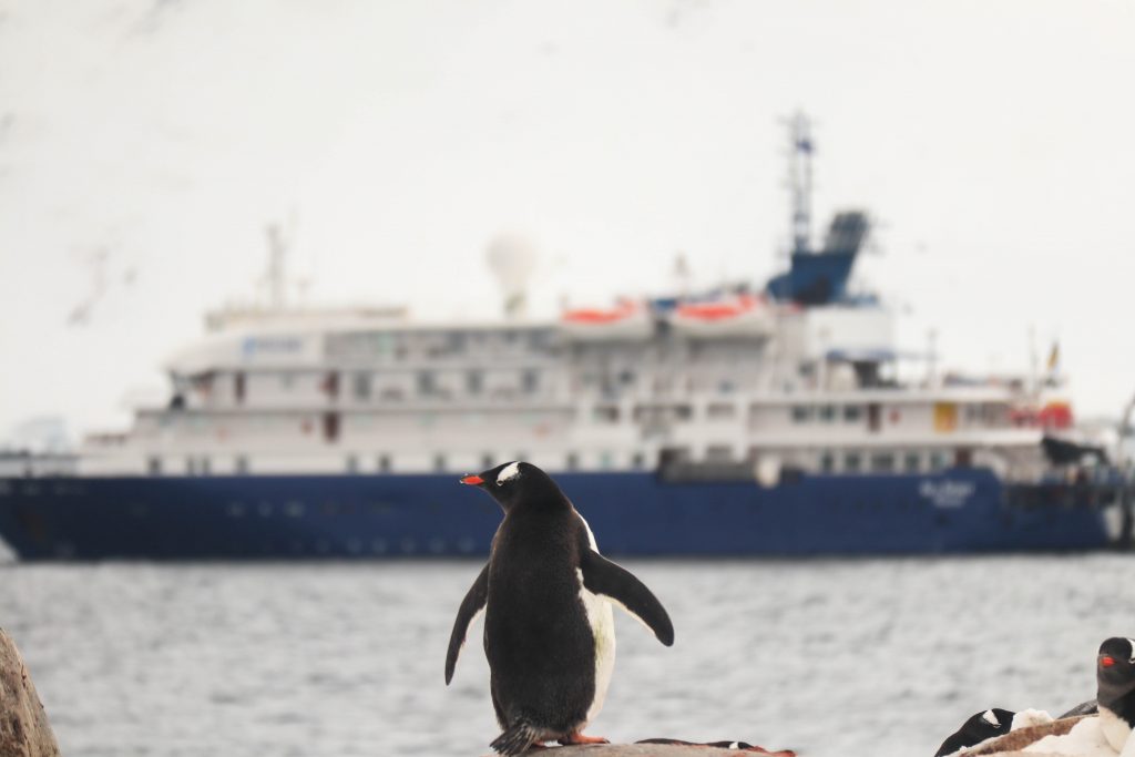 A Typical “Sea” Day Aboard An Antarctic Cruise Expedition – World Wide ...